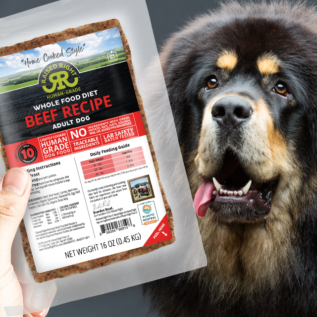 The 13 Best Dog Foods – 2026 42 Raised Right Original Beef Adult Dog Recipe Lifestyle Image 640 x 640