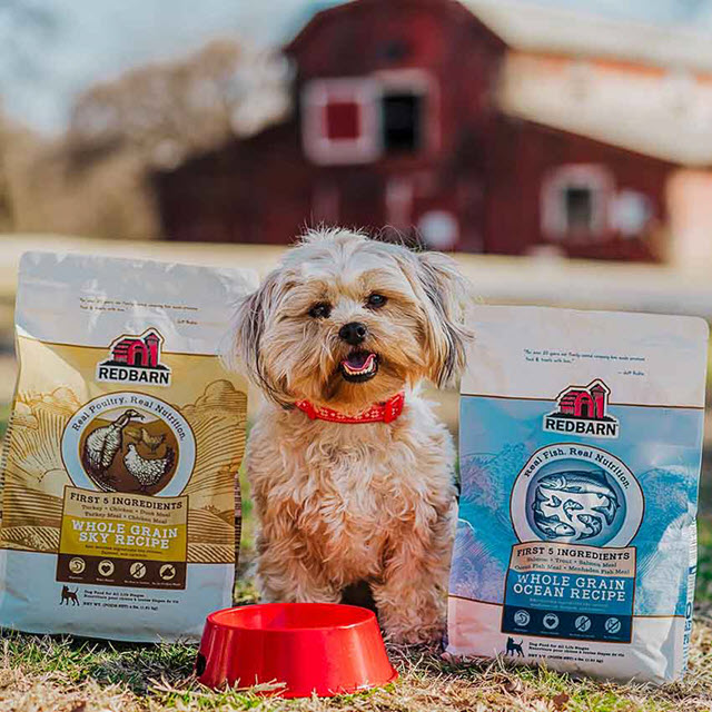 11 Best Dry Dog Foods 18 Redbarn 2