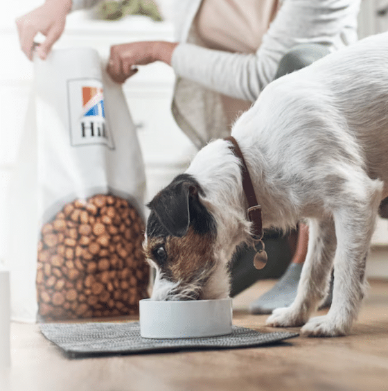 Shop These 14 Amazon Brands That Give Back to Dogs in Need 7 Screenshot 1118