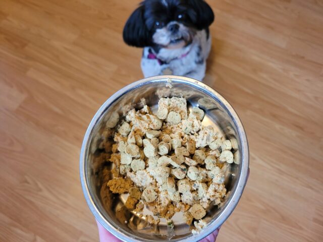 Serving Ollie to Mabel