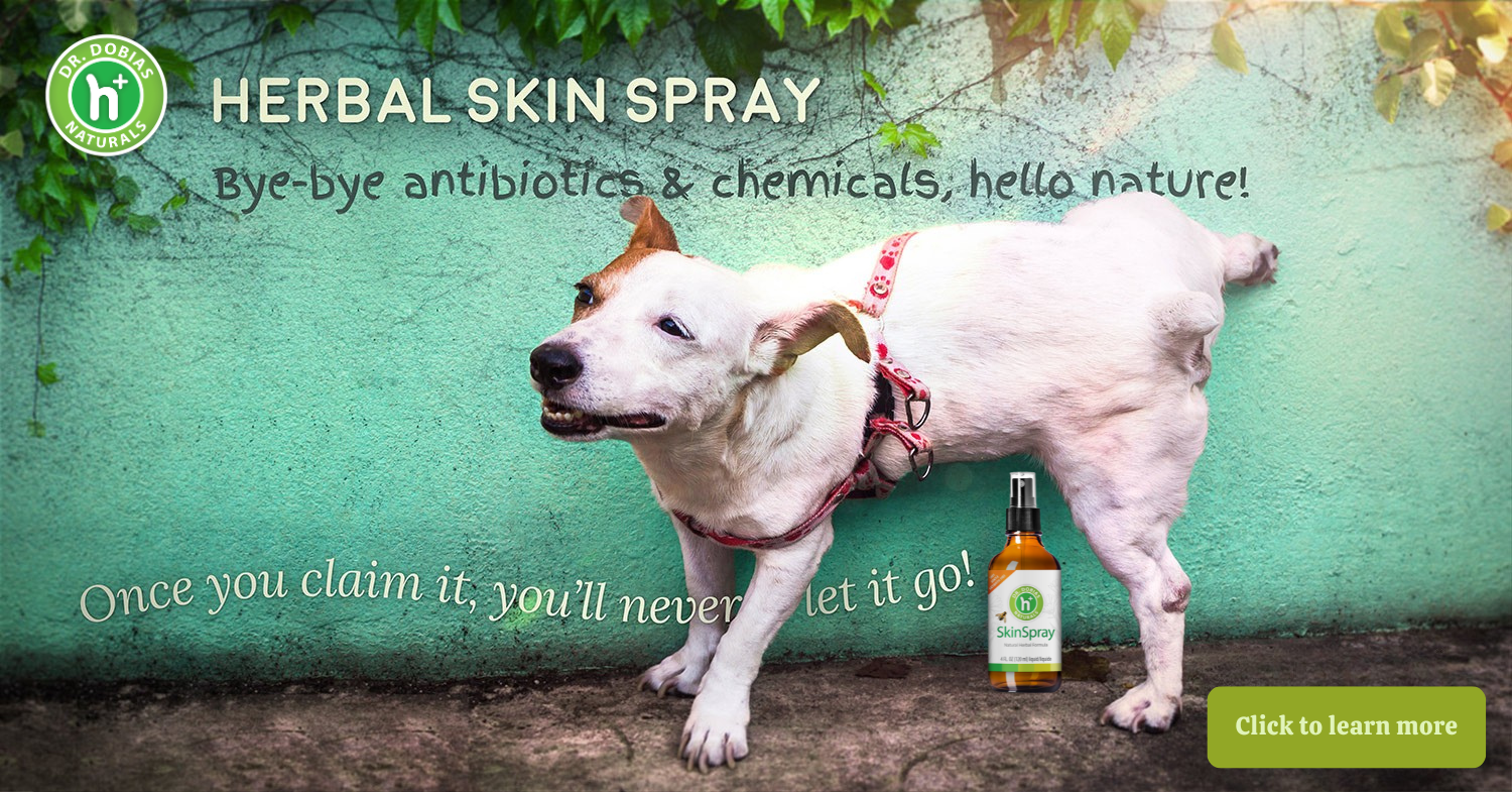 SkinSpray Banner 2