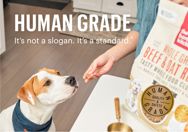 The Honest Kitchen 1