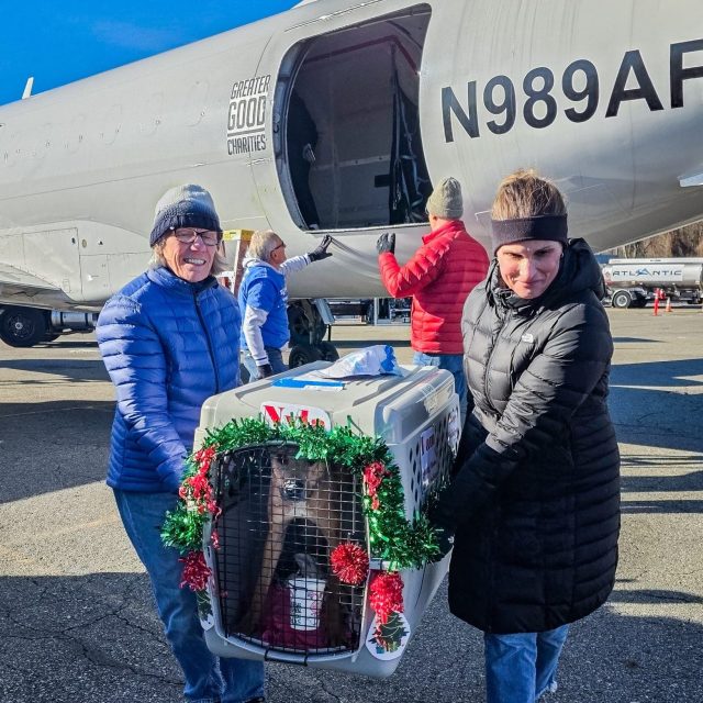 VS Photograph 20251209 AHW HLM LA NJ Arrival 001 ©GGC scaled e1767734098667