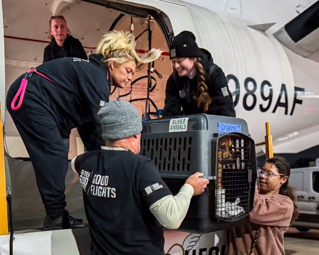 VS Photograph 20251209 AHW HLM LA NJ Departure 002 ©IbervilleParishAnimalShelter scaled e1767733149430