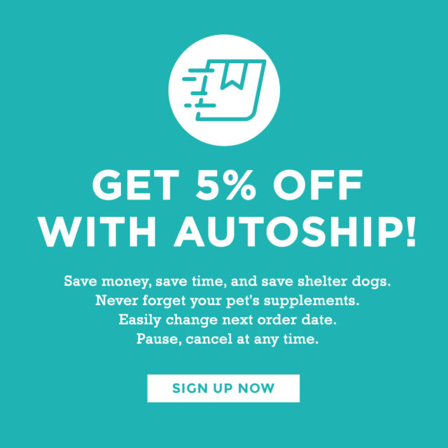 autoship headers1 e1529779608559