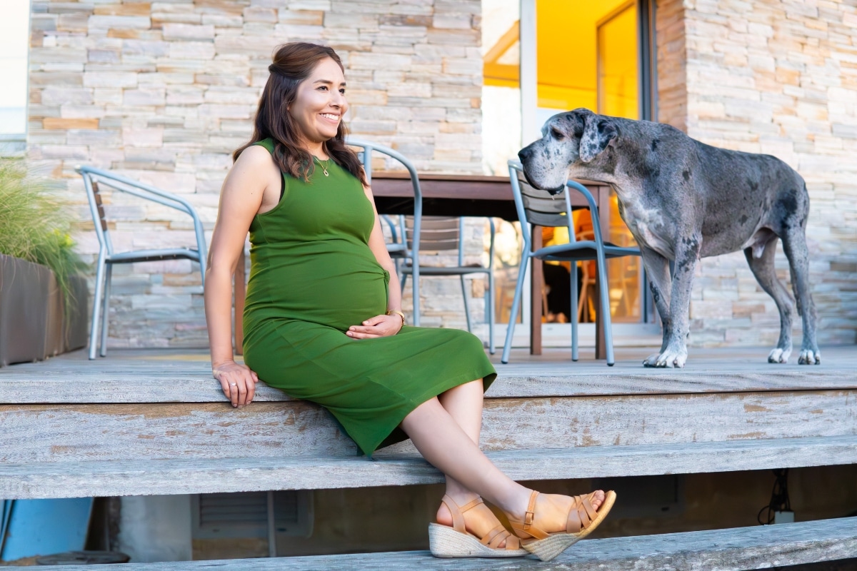 Great Dane, calm and loving, offering gentle closeness and steady comfort.