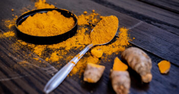 best turmeric dogs 1 350x184 1