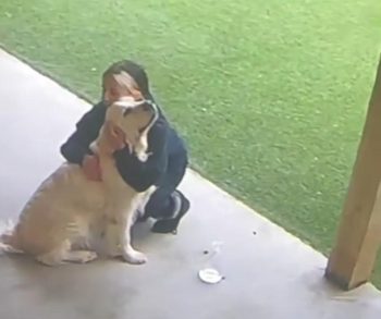 compressed Untitled Facebook Post Facebook Post 100 350x293 1