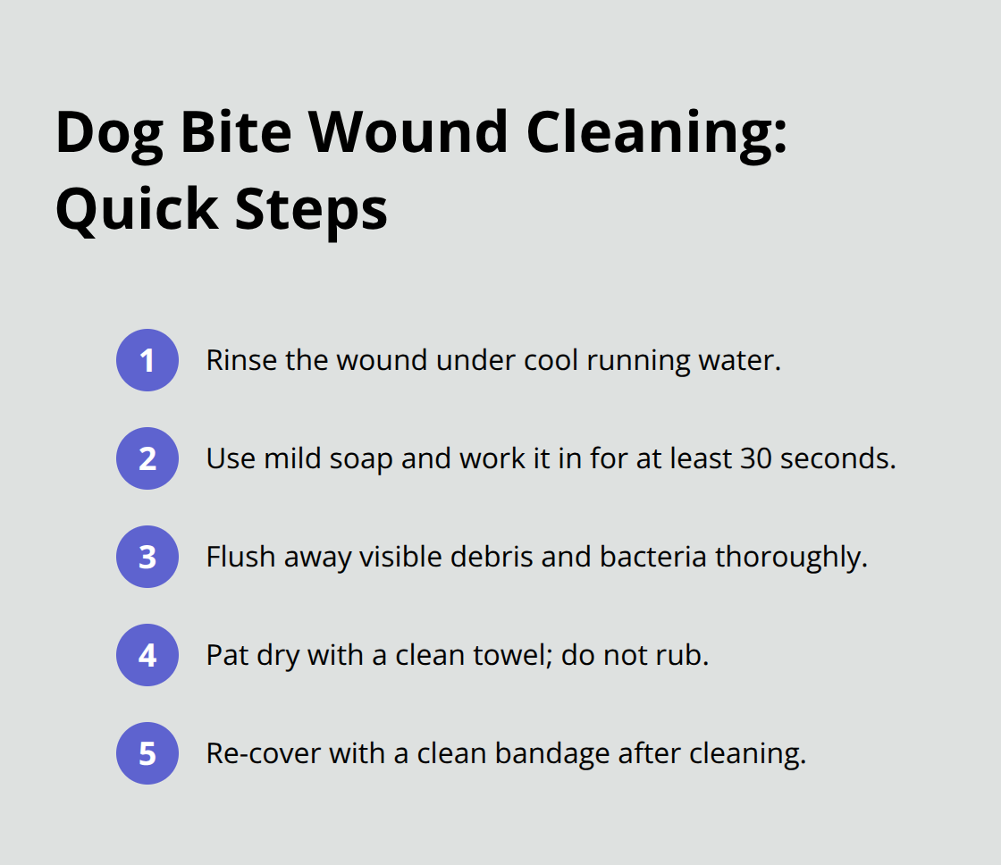 How to Care for Dog Bite Wounds on Dogs 3 Step-by-step cleaning actions for a dog bite wound to reduce infection risk. - dog bite wound care for dogs