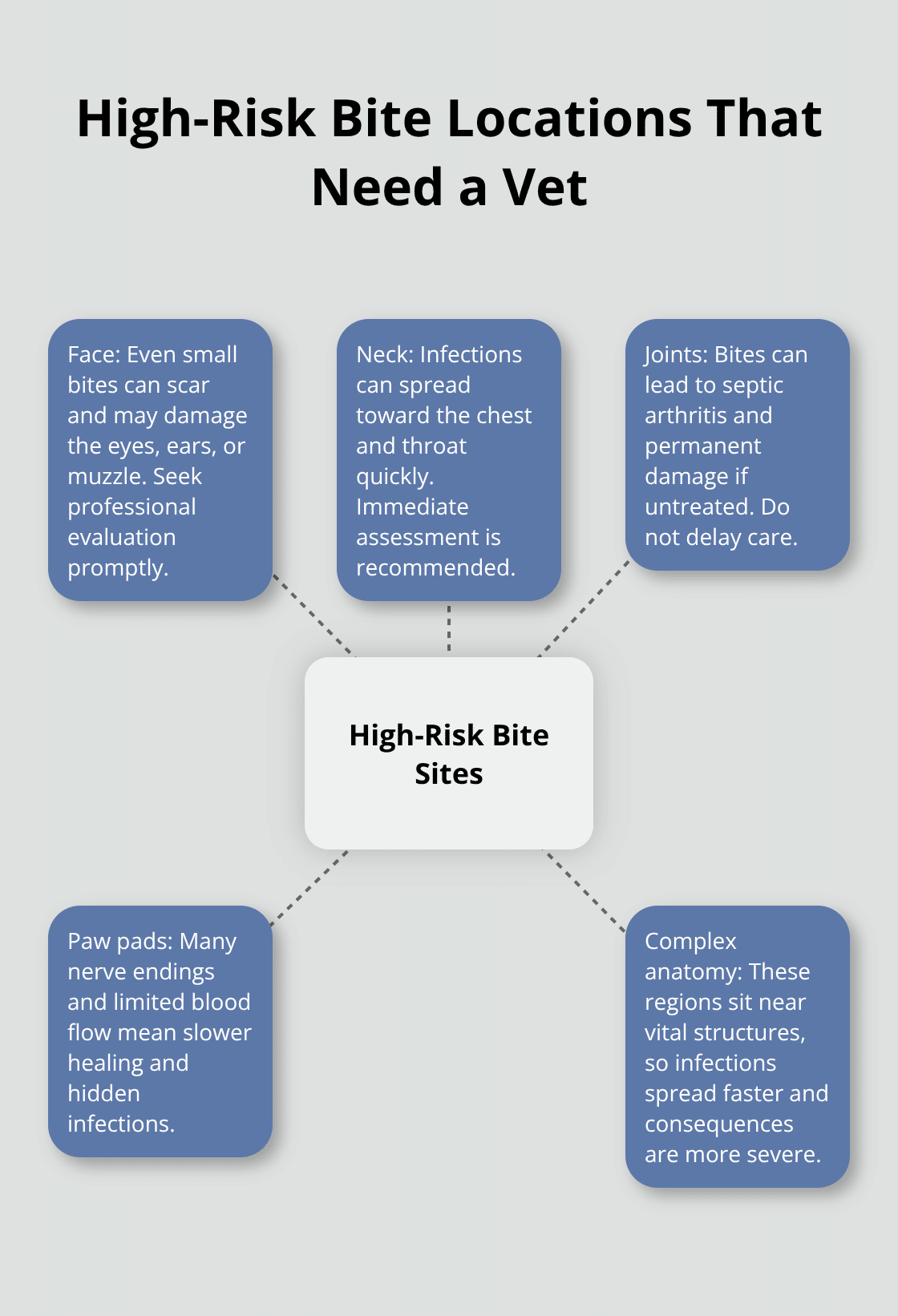 How to Care for Dog Bite Wounds on Dogs 4 Diagram showing dog bite locations that require urgent veterinary care and why.