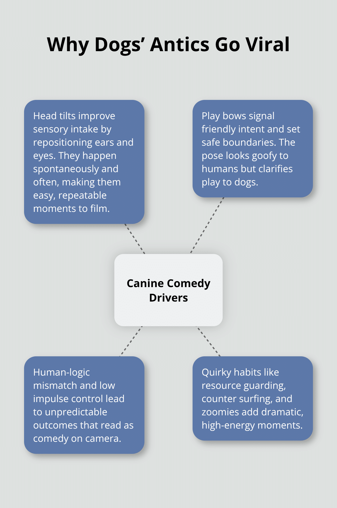 Hub-and-spoke diagram explaining key drivers behind funny dog behavior. - funny dog articles