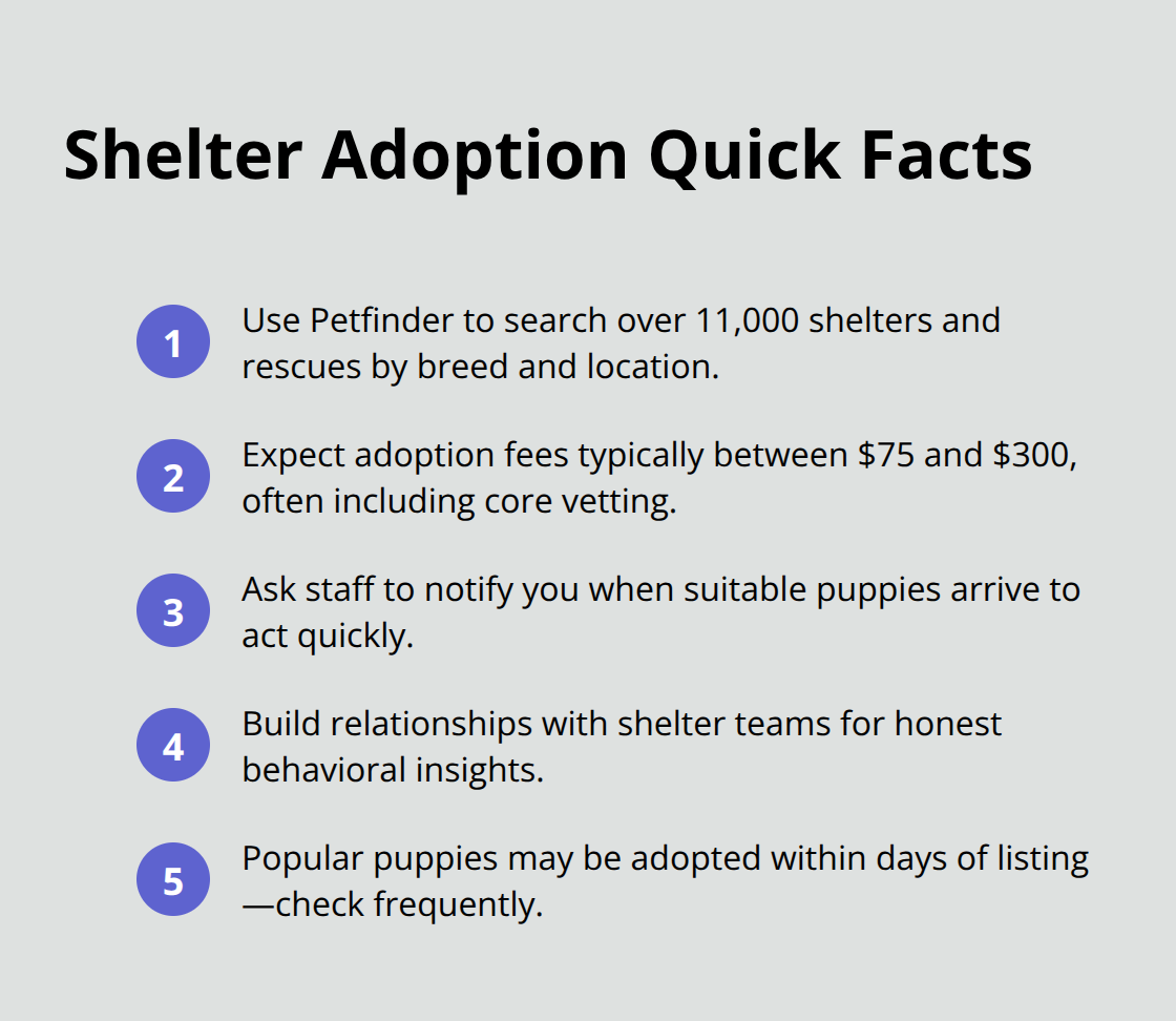 German Shepherd Lab Mix Puppies for Adoption Near You 4 Compact list of key facts for adopting from shelters in the United States