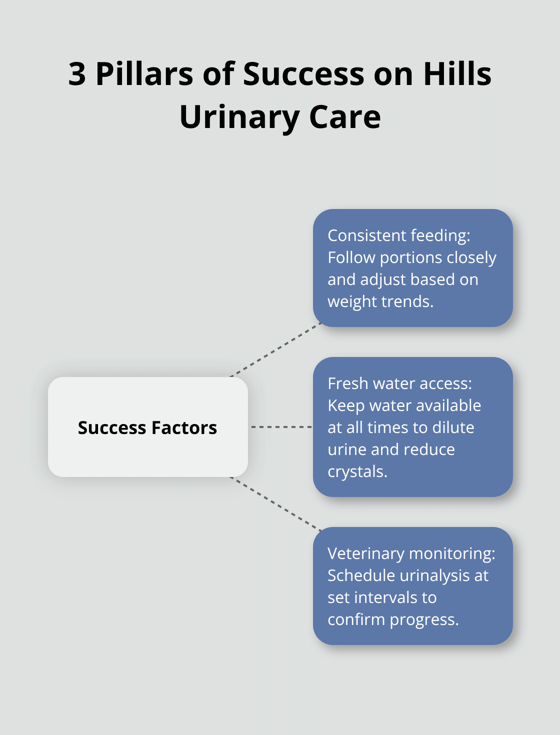 Hills Urinary Care Dog Food: Complete Guide 5 Diagram showing three core success factors for Hills Urinary Care. - hills urinary care dog food