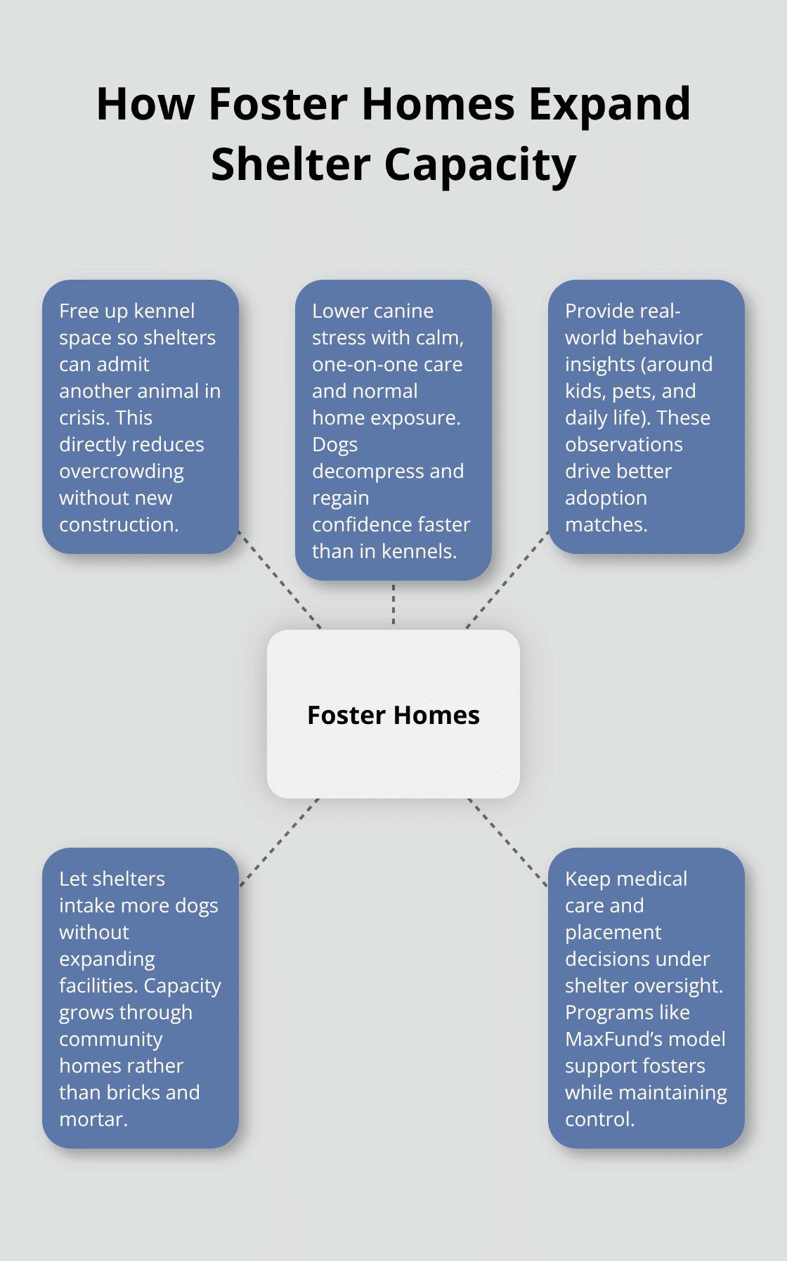 How foster homes relieve shelter crowding and improve outcomes for dogs and shelters