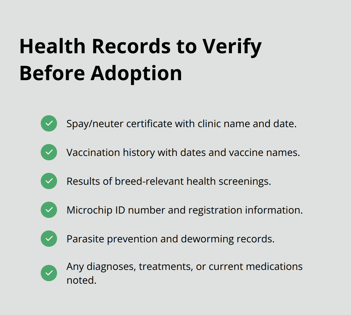 Checklist of essential veterinary documents to request before adopting a Jack Russell Terrier in the U.S.