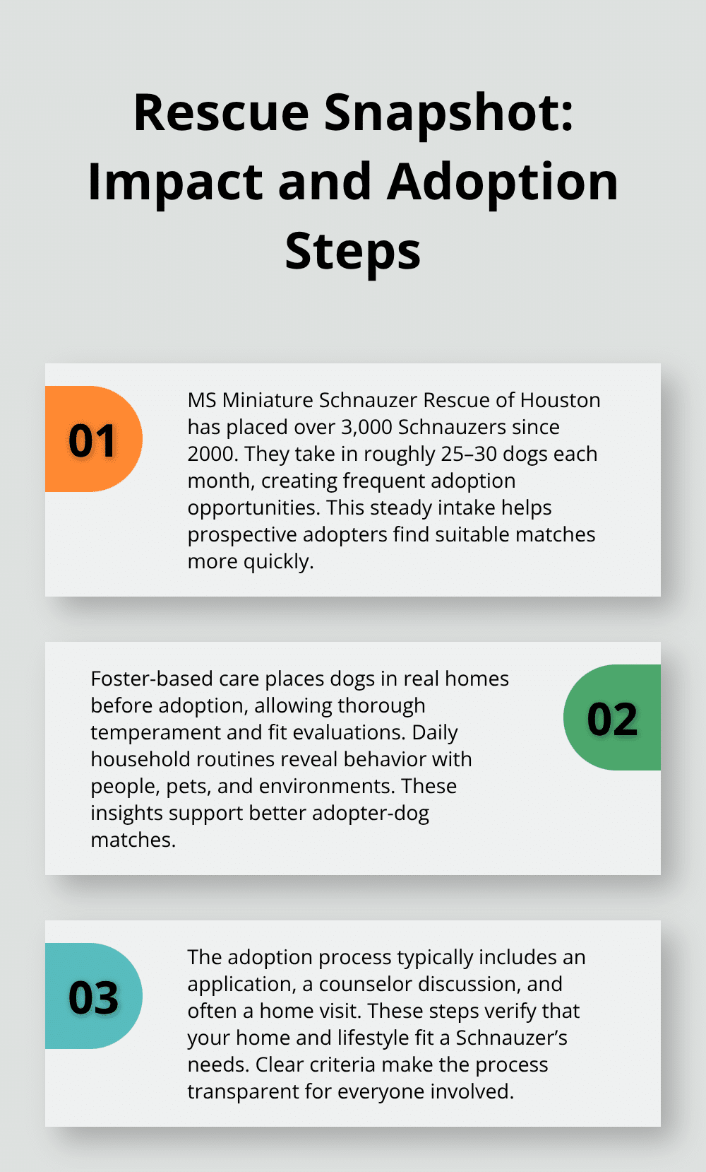 How to Find Miniature Schnauzer Puppy Adoption Options 3 Overview of Miniature Schnauzer rescue impact and the typical adoption process steps. - miniature schnauzer puppy adoption