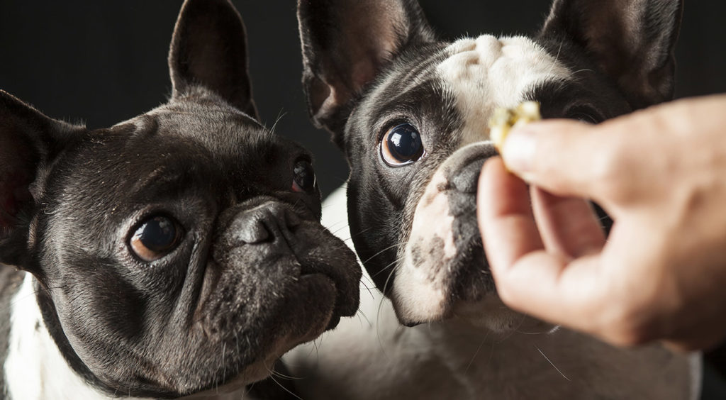 multivitamin 1024x564 1024x564 1