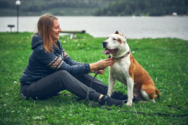 best dog activity trackers