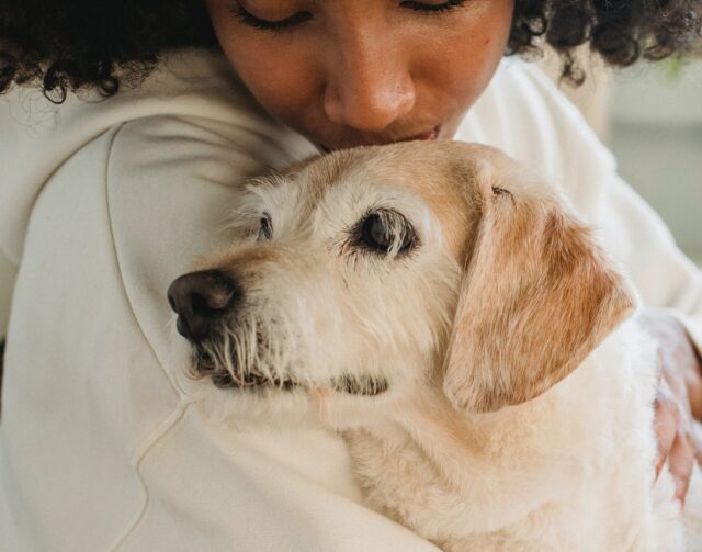 pexels samson katt 5257585 scaled e1675734644850