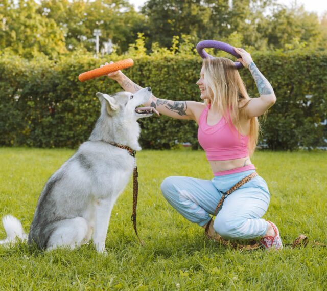 best hip and joint supplements for dogs