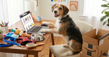 Best Value Dog Gear on Amazon (Under $50 & Prime Eligible) 3 prime under 50 350x184 1