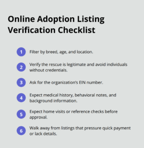 Home 25 puppy pomeranian for adoption infographic 1 1768083205