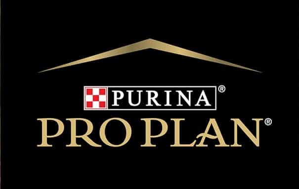 Shop These 14 Amazon Brands That Give Back to Dogs in Need 15 purina e1746560361601