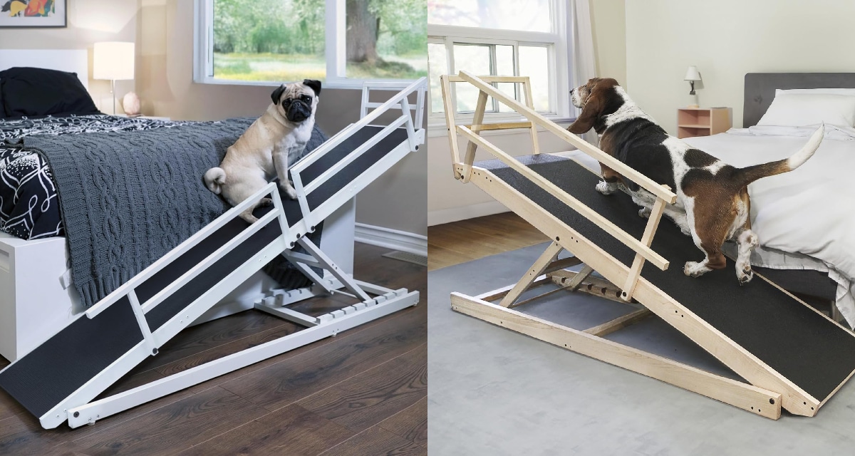 Shop These 14 Amazon Brands That Give Back to Dogs in Need 5 ramps