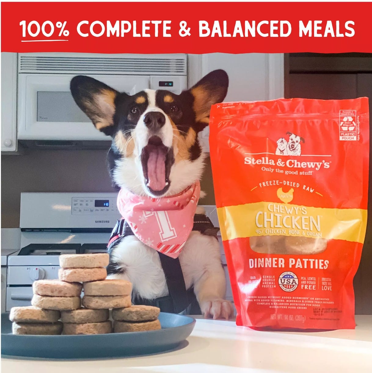 The 13 Best Dog Foods – 2026 5 sc dog food