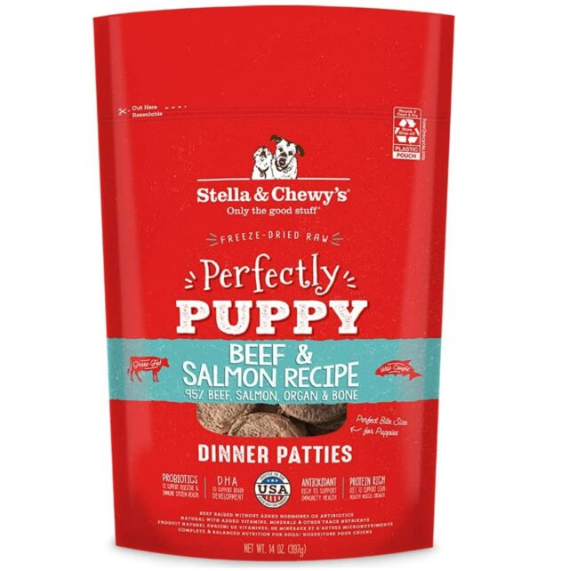 stella chewy puppy e1668127827511