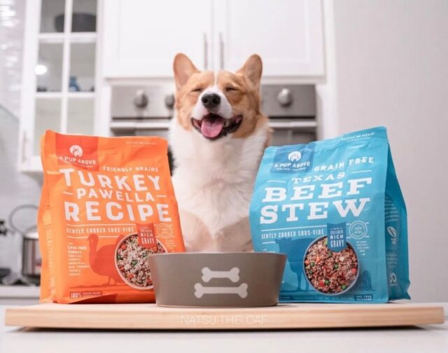 unknown 274614971 337608171624262 8283901253772030149 n e1673289463509