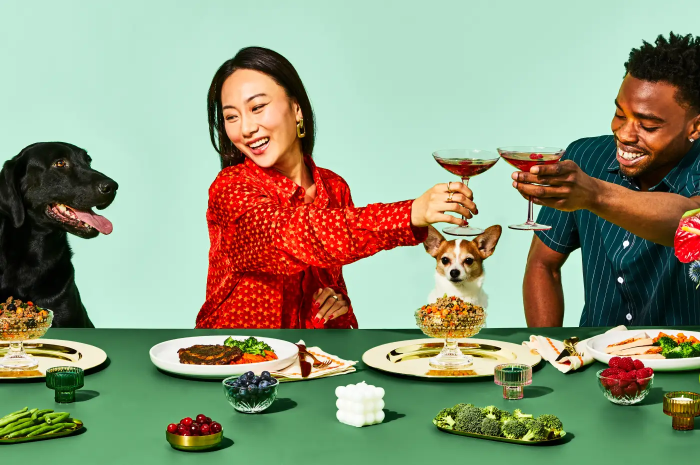 The 13 Best Dog Foods – 2026 17 value 3