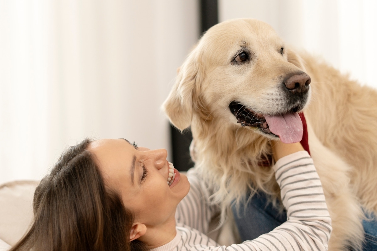 Golden Retriever, gentle and loving, bringing calm warmth to families.