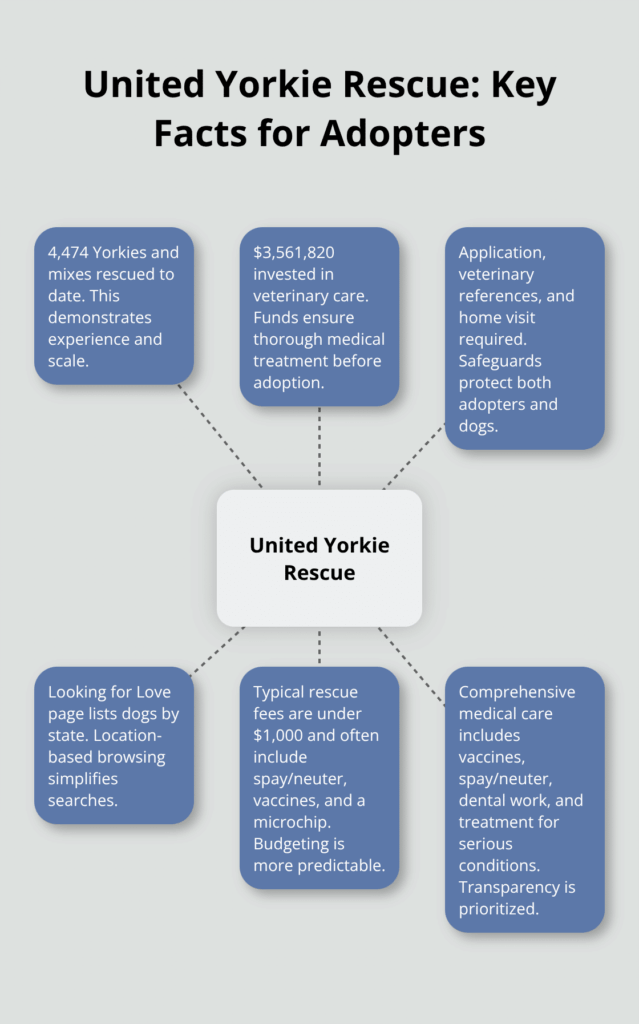 yorkshire terrier puppy adoption infographic 1 1767858629