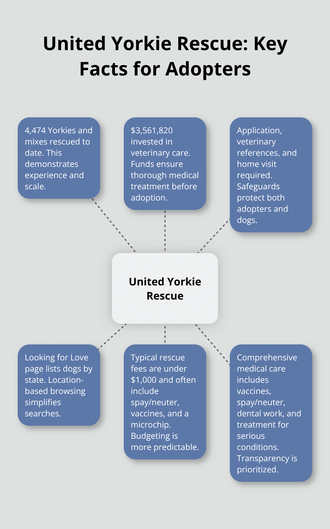 Snapshot of United Yorkie Rescue’s impact and adoption standards - yorkshire terrier puppy adoption