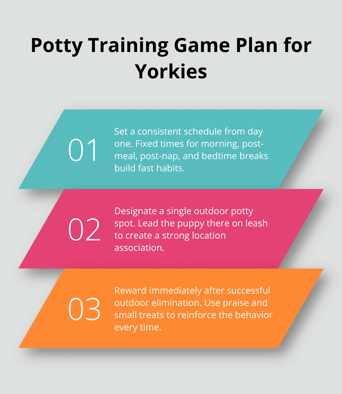 Three core steps to start house-training a Yorkshire Terrier puppy